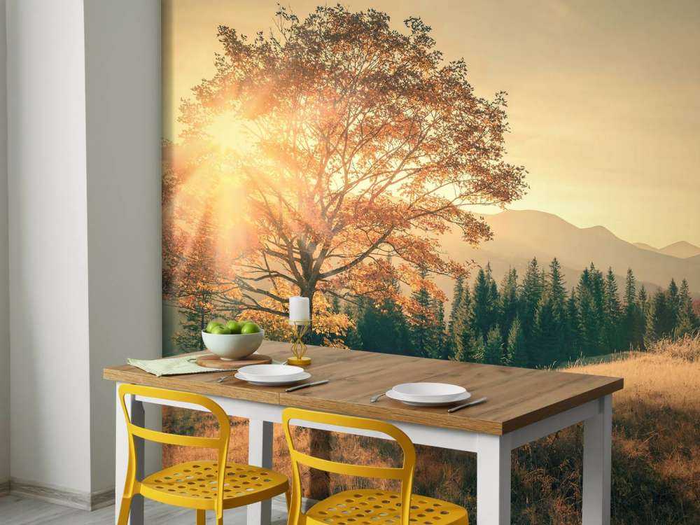 Coucher de soleil dans une vallée