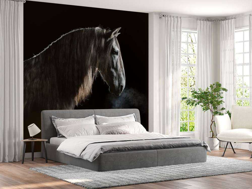 Cheval noir avec une robe grise