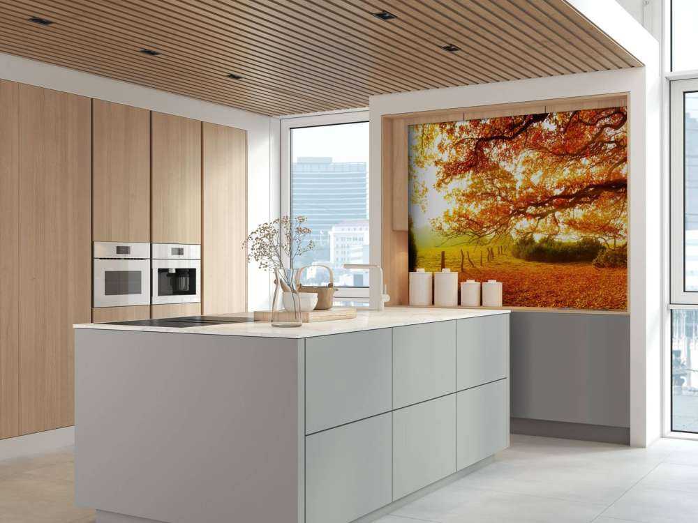 Paysage d'automne avec forêt et prairie