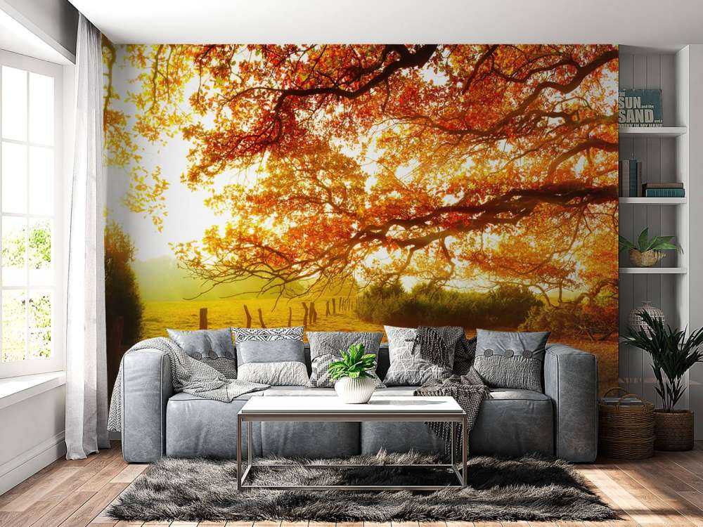 Paysage d'automne avec forêt et prairie