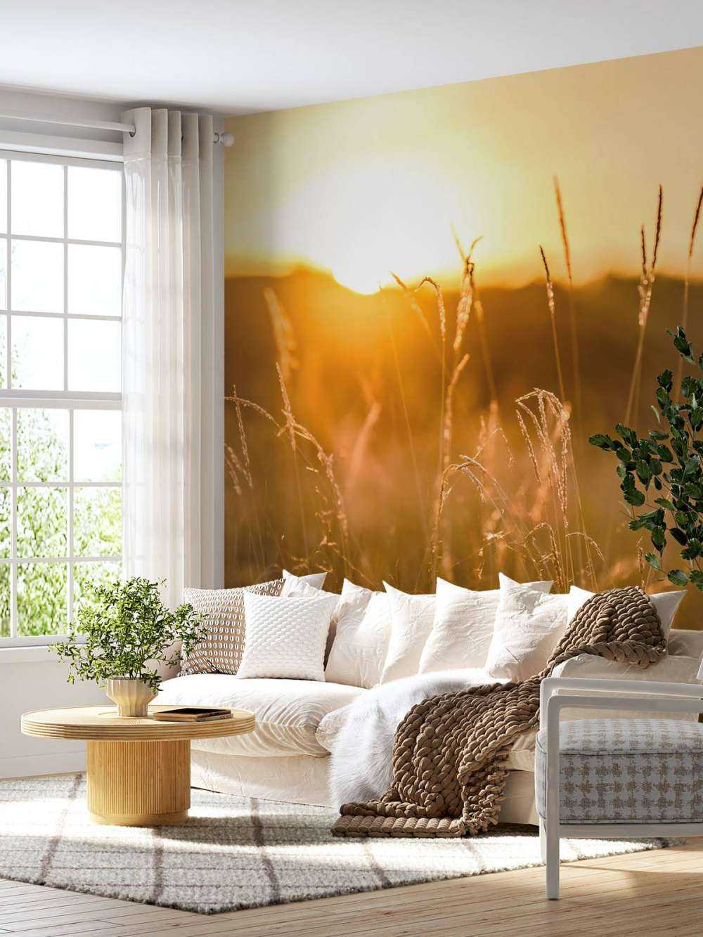 Coucher de soleil entre les grains