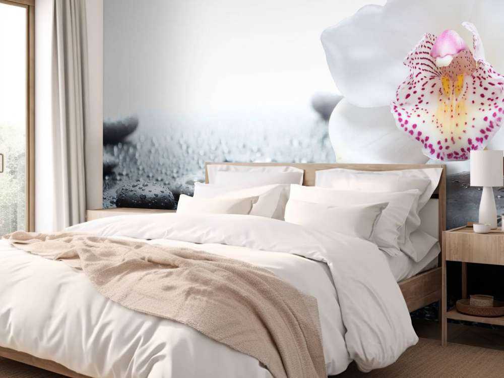 Orchidée blanche