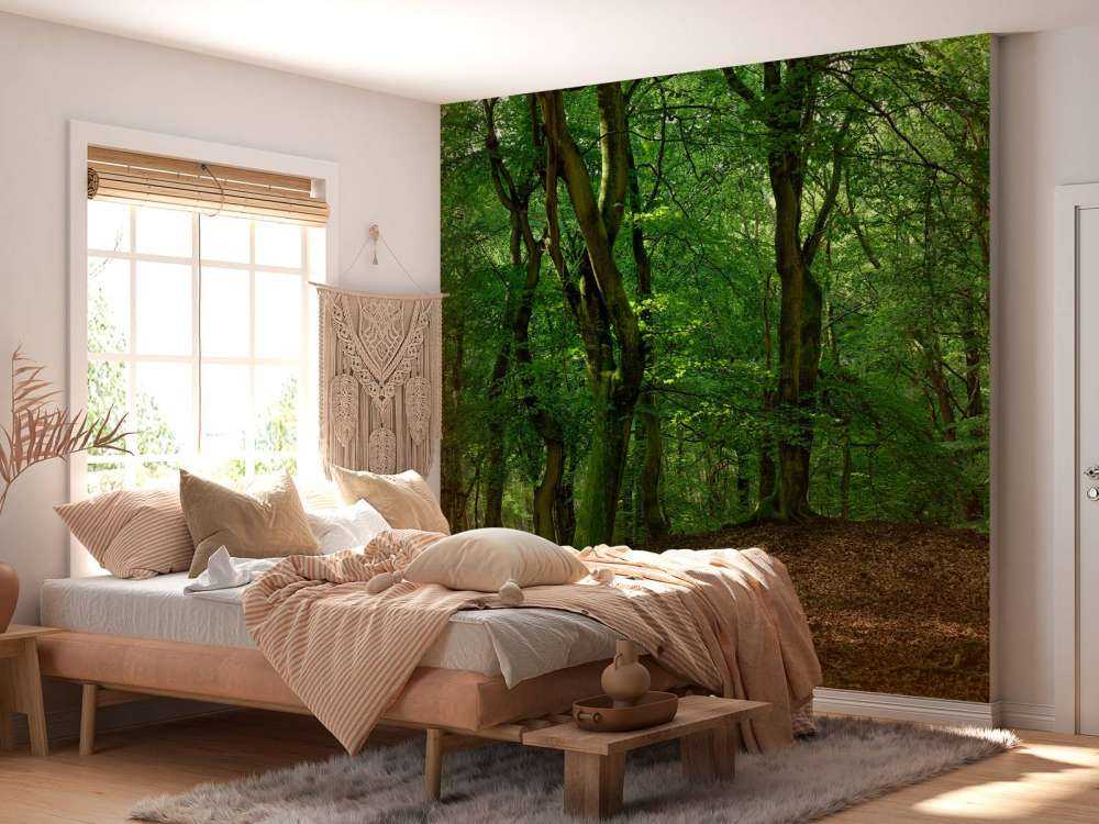Arbres à feuilles vertes