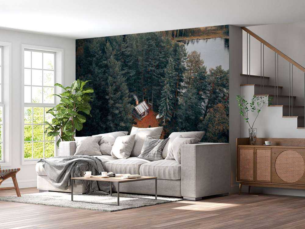 Cabane entourée de forêts et de lacs