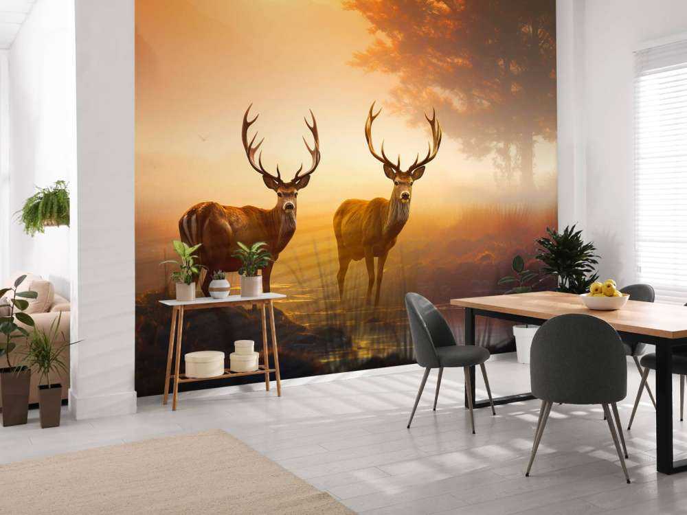 Gloire du matin Splendeur du cerf