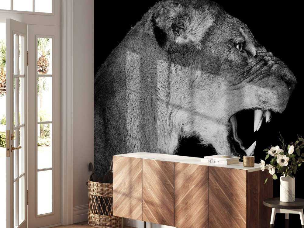 Lionne vue de côté noir