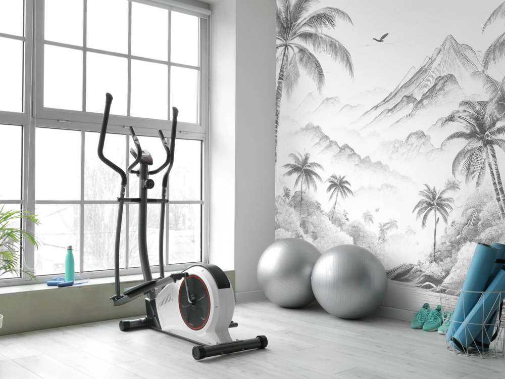 Baie Paisible aux Palmiers