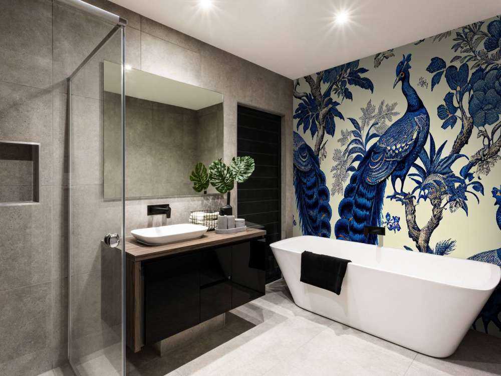 Splendeur&#x20;du&#x20;paon&#x20;bleu&#x20;royal