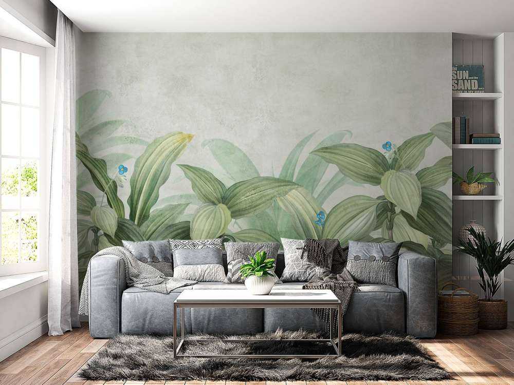 Herbe à mouche avec des fleurs