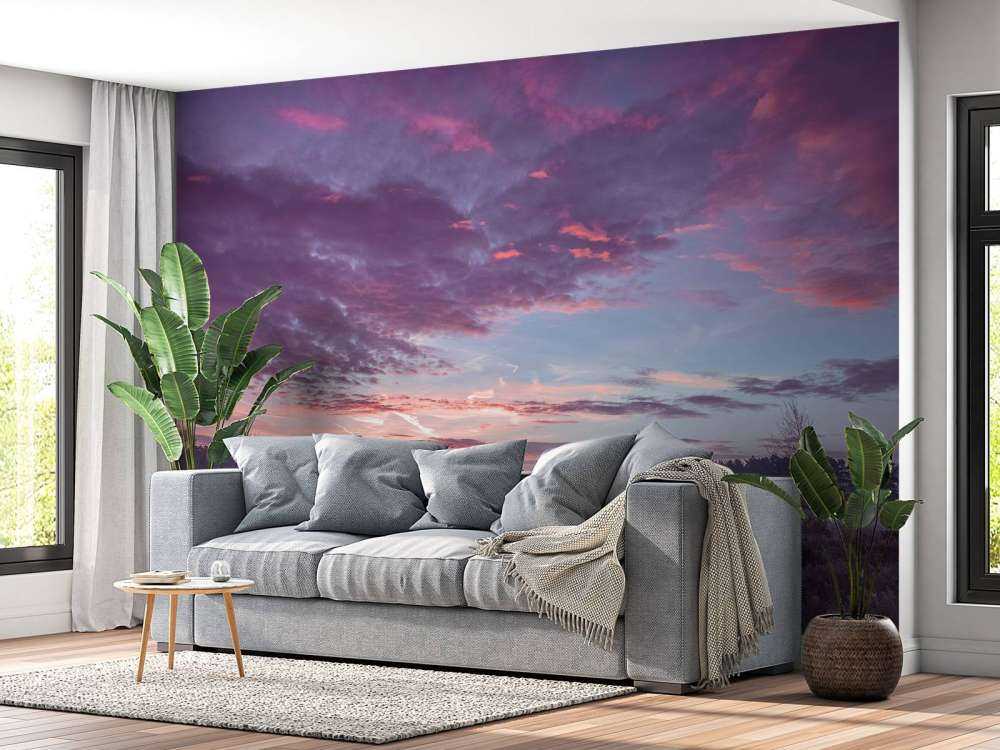 Prairie sous un ciel nuageux