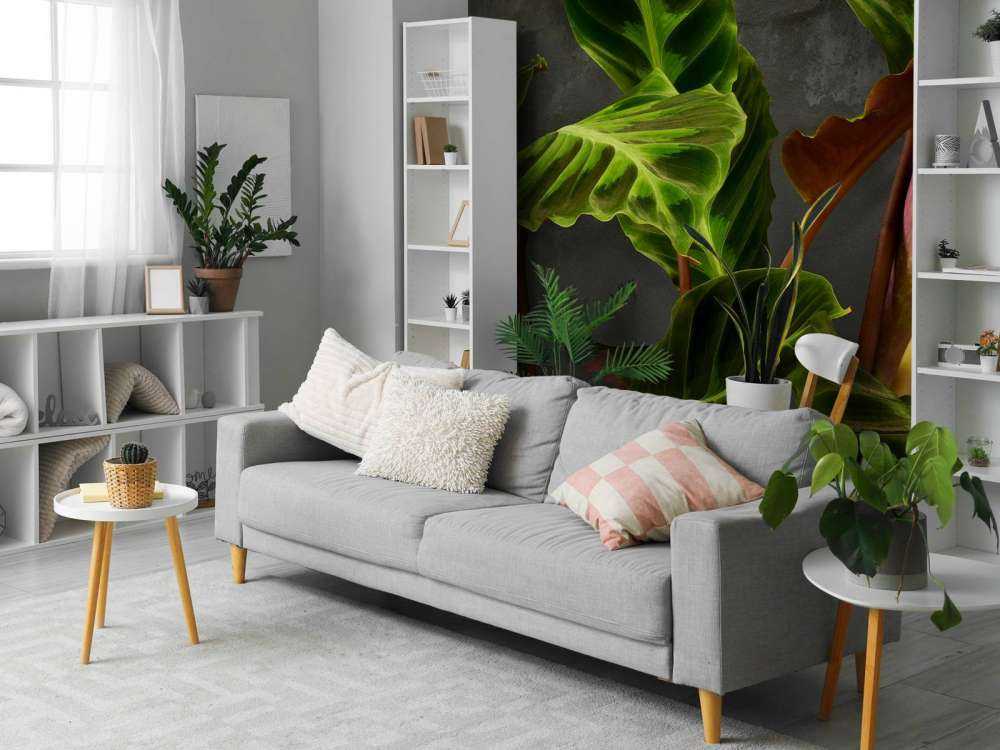 Plante avec de belles feuilles vertes