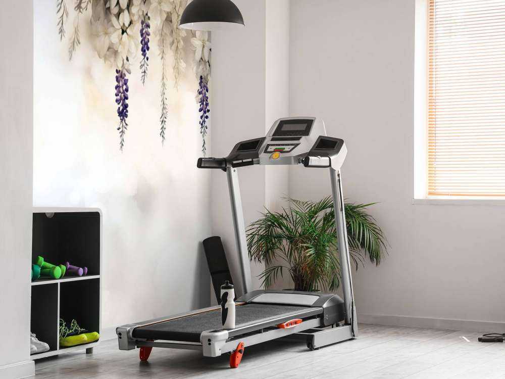 Jardin de Glycine Douce Jaune