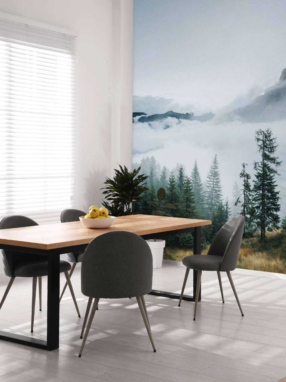 Brume matinale sur la forêt