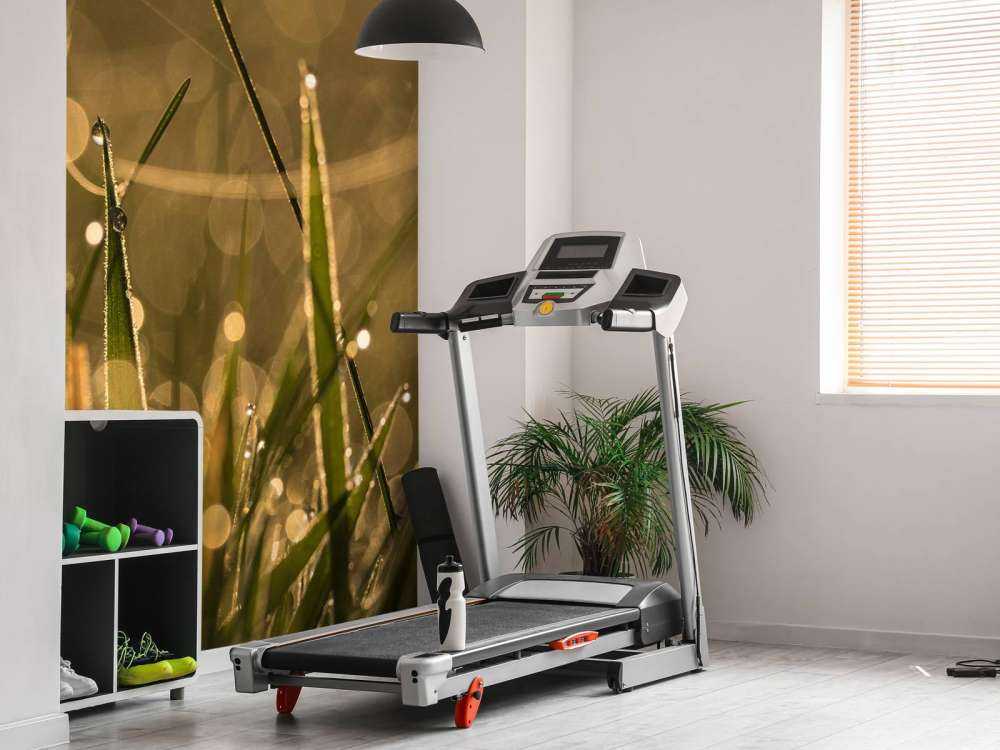 Herbe du matin brillante