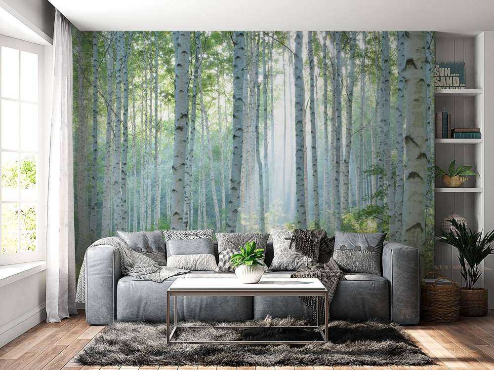 Berkenbos dans la lumière du matin