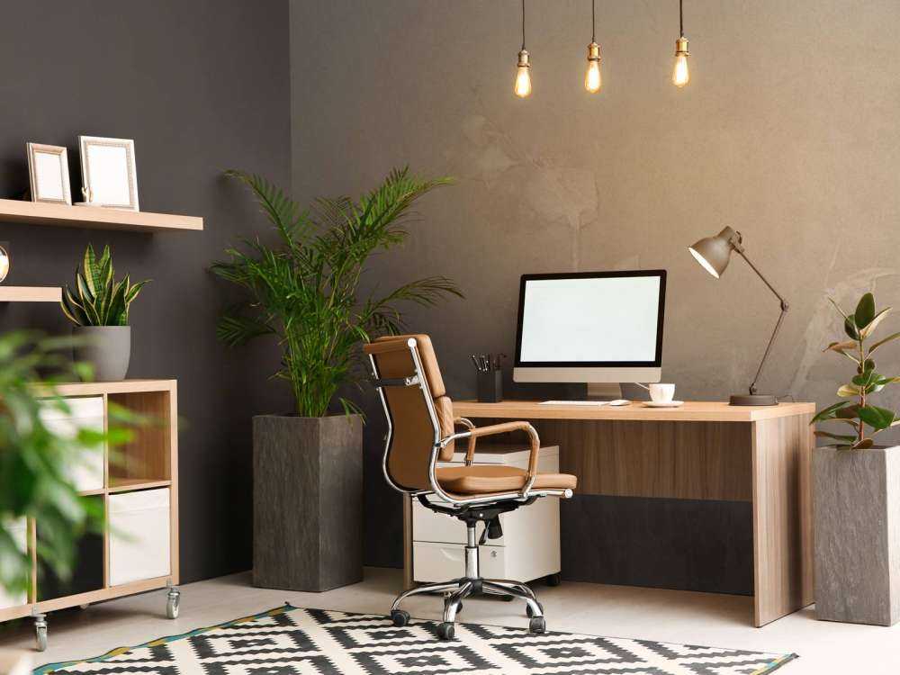 Géranium sauvage en neige - gris souris