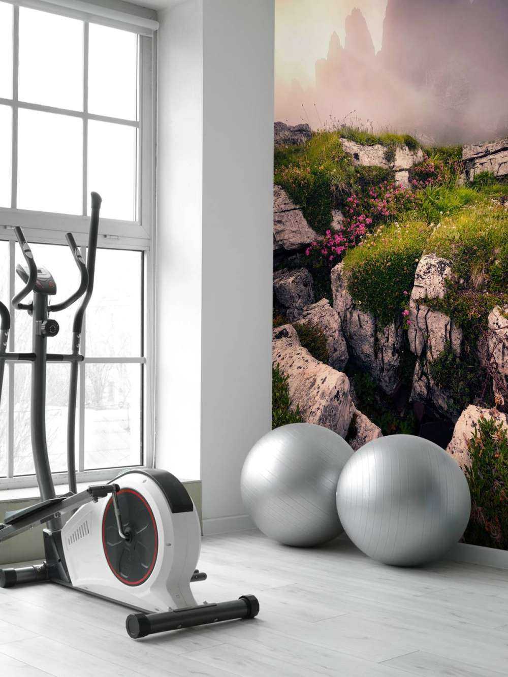 Nevelige Bergtoppen et Fleurs des Alpes