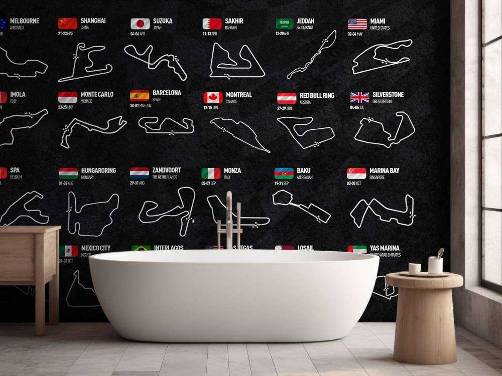 Formule 1 2025 - Carte des données