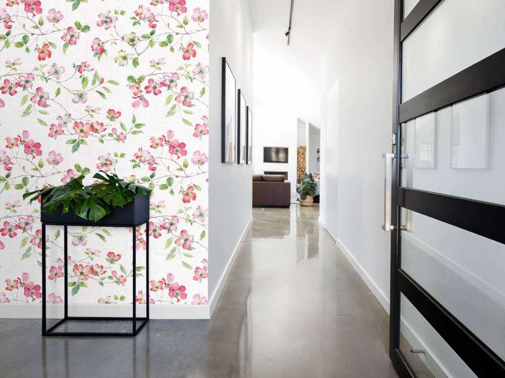 Jardin de Cornouiller Étape 01