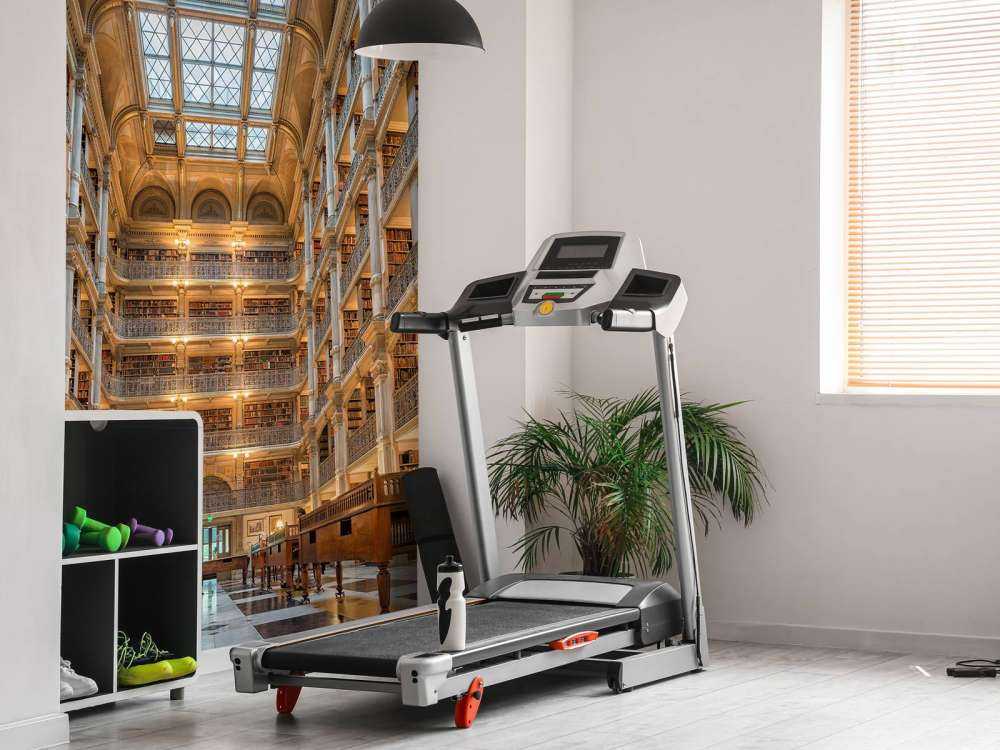 Salle de littérature éclairée