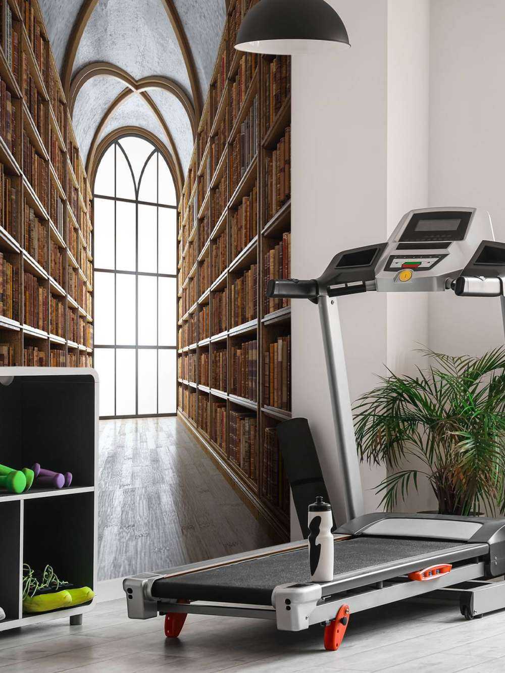 Salle de bibliothèque médiévale