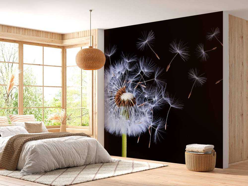 Dandelion Blowing