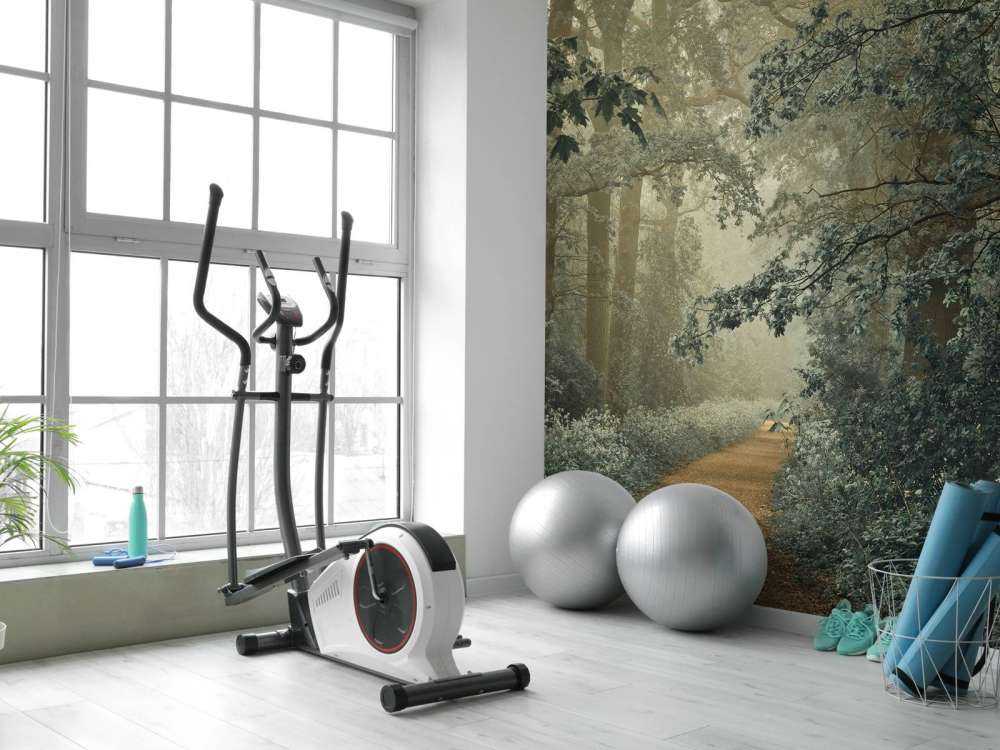 Chemin à travers la forêt avec du brouillard