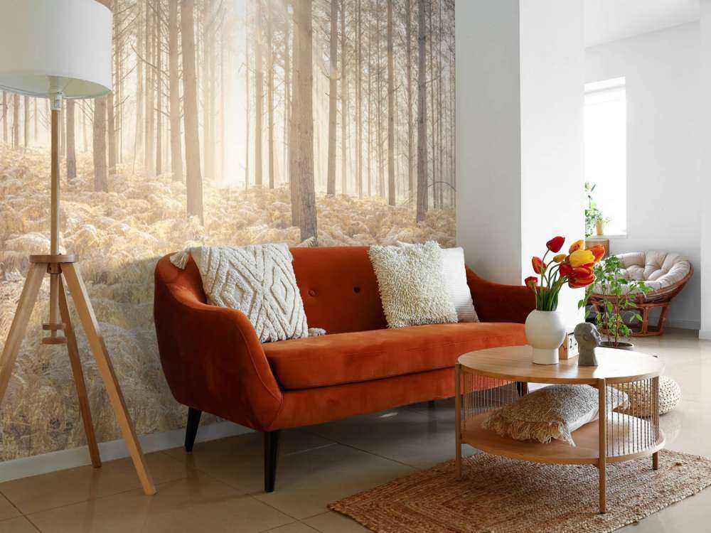 Rayons de soleil dans une forêt froide