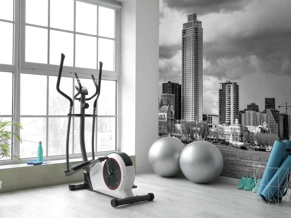 Skyline Rotterdam (Westerkade) depuis Katendrecht (noir et blanc) 