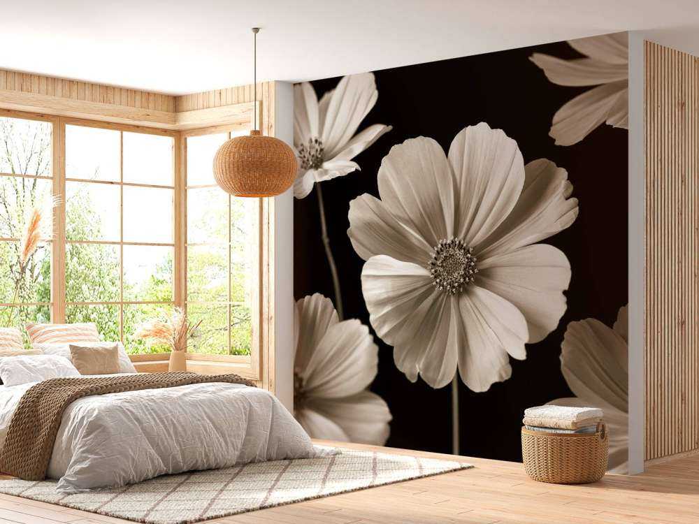 Plusieurs fleurs de cosmos