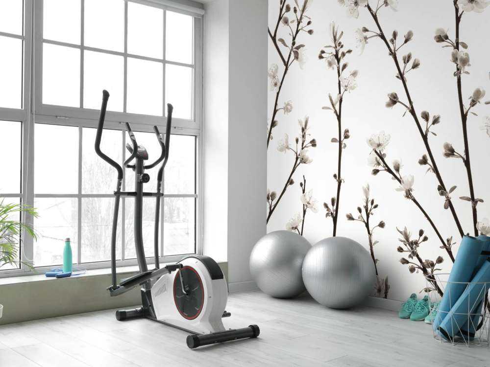 Branches de fleurs de cerisier