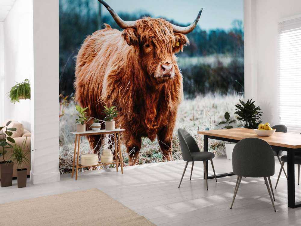 Un Highland écossais dans la forêt