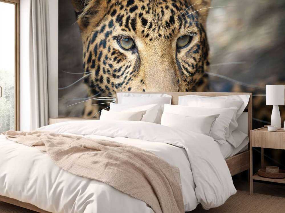 Gros plan d'une tête de léopard