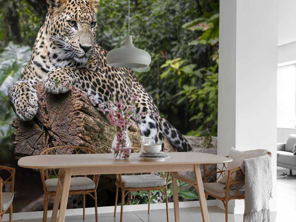 Un léopard sur une branche