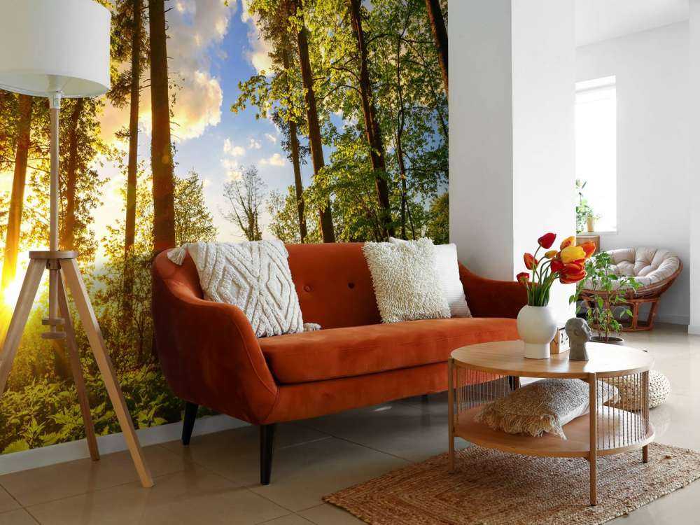 Coucher de soleil à travers les arbres