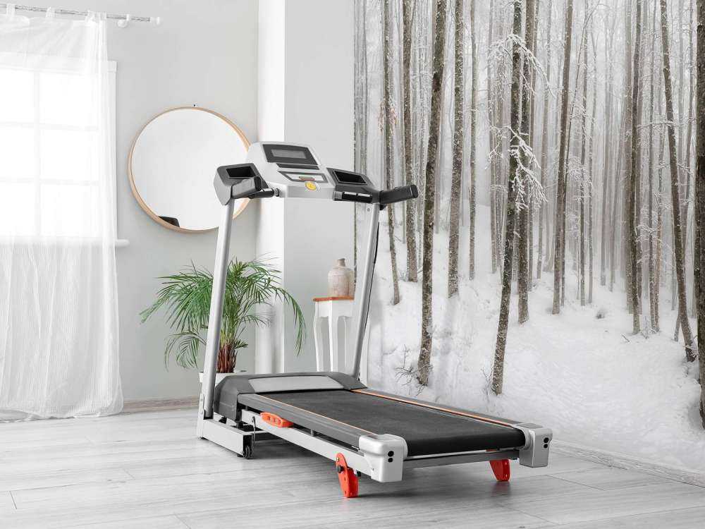 Forêt de hêtres avec de la neige