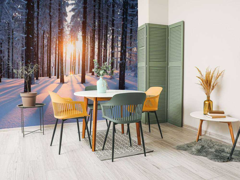 Coucher de soleil dans une forêt d'hiver