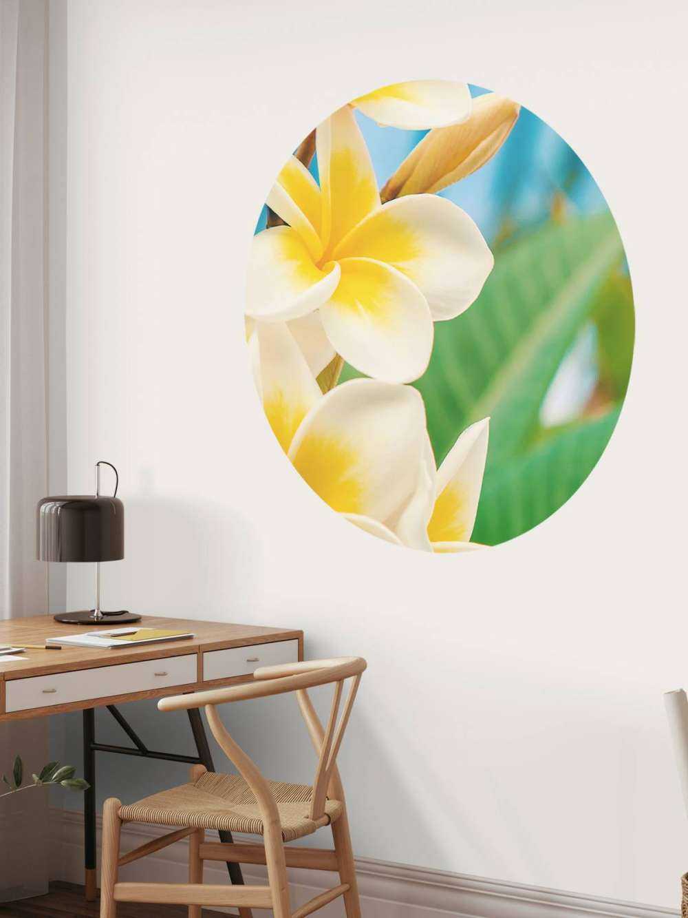 Fleur de plumeria blanc jaune