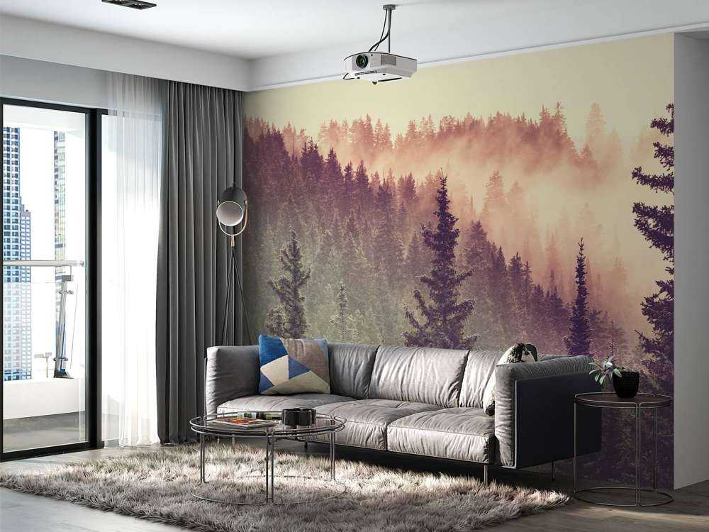 Brouillard dans la forêt