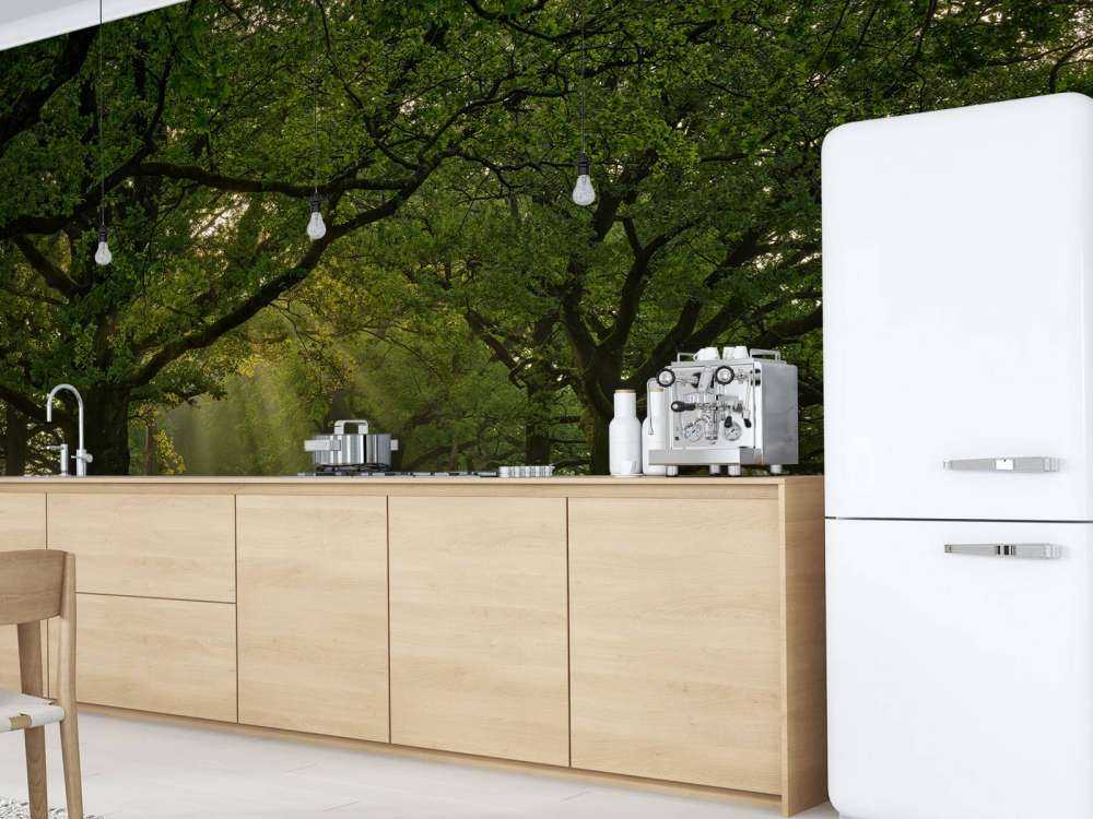 Chemin entre les chênes