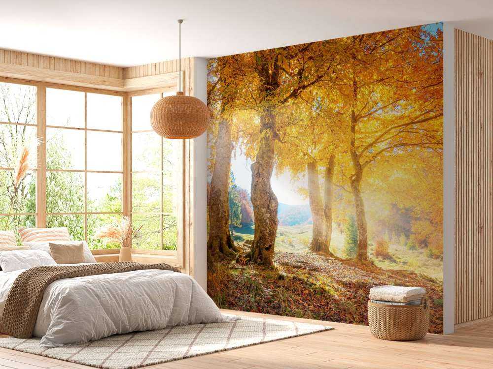 Chaleureux paysage d'automne