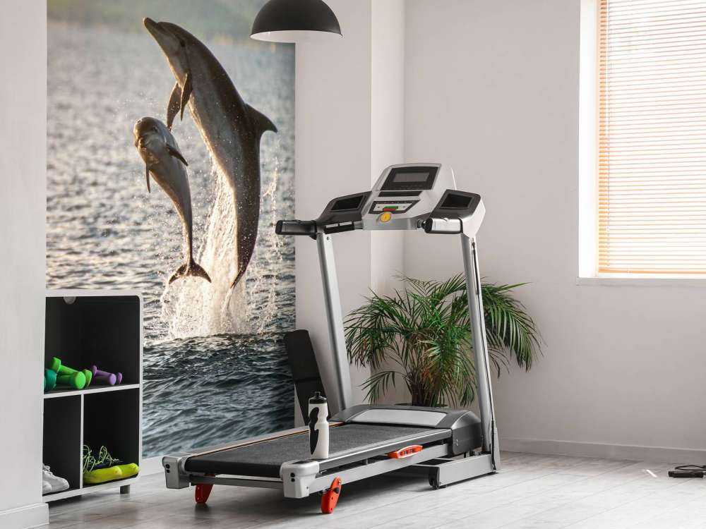 Deux dauphins qui sautent