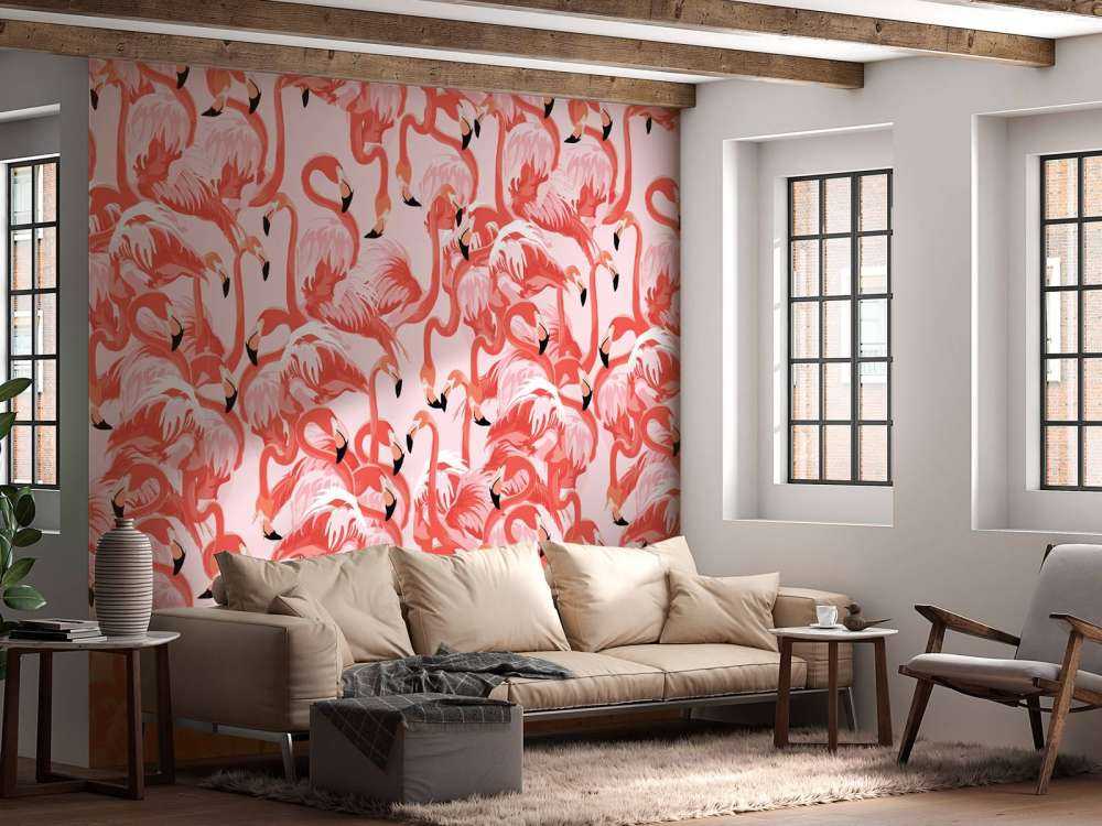 Flamants roses exotiques