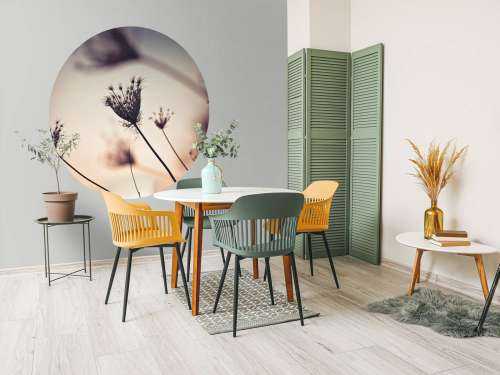 Reflet de plantes