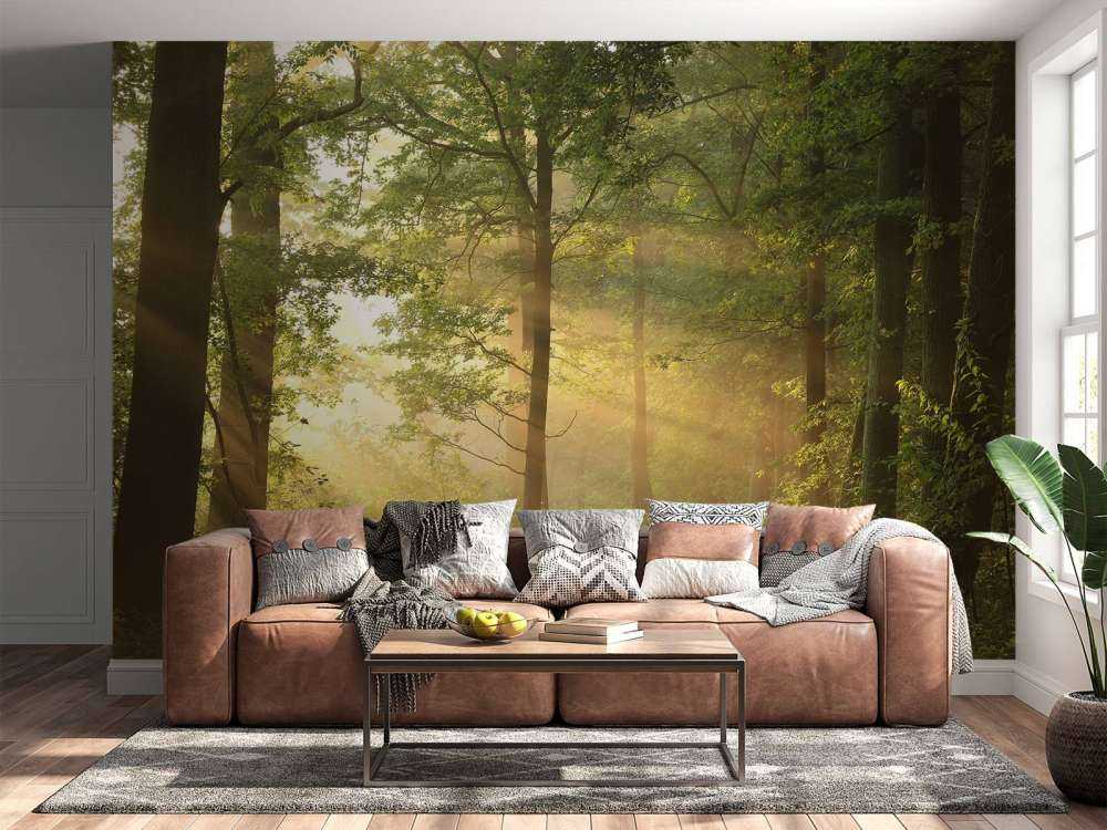 Matin brumeux de printemps