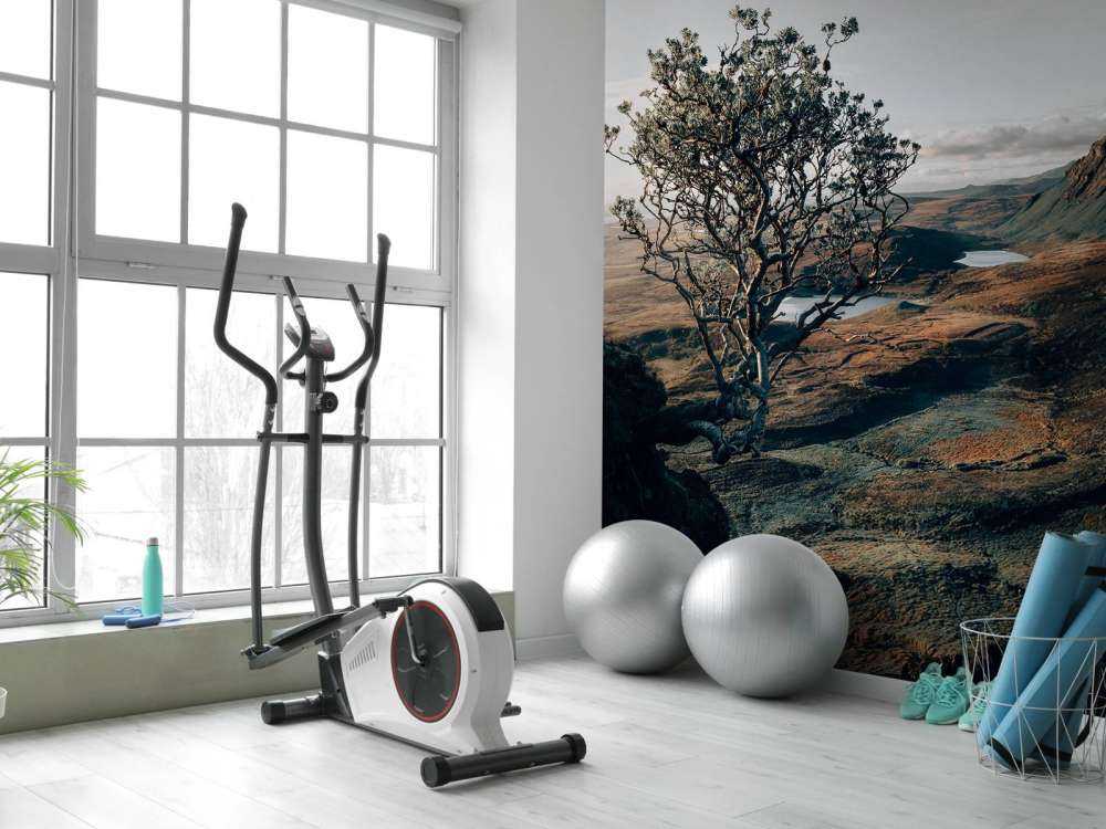 Début de journée en montagne