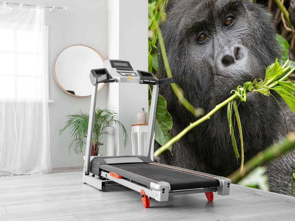 Gorille entre les branches