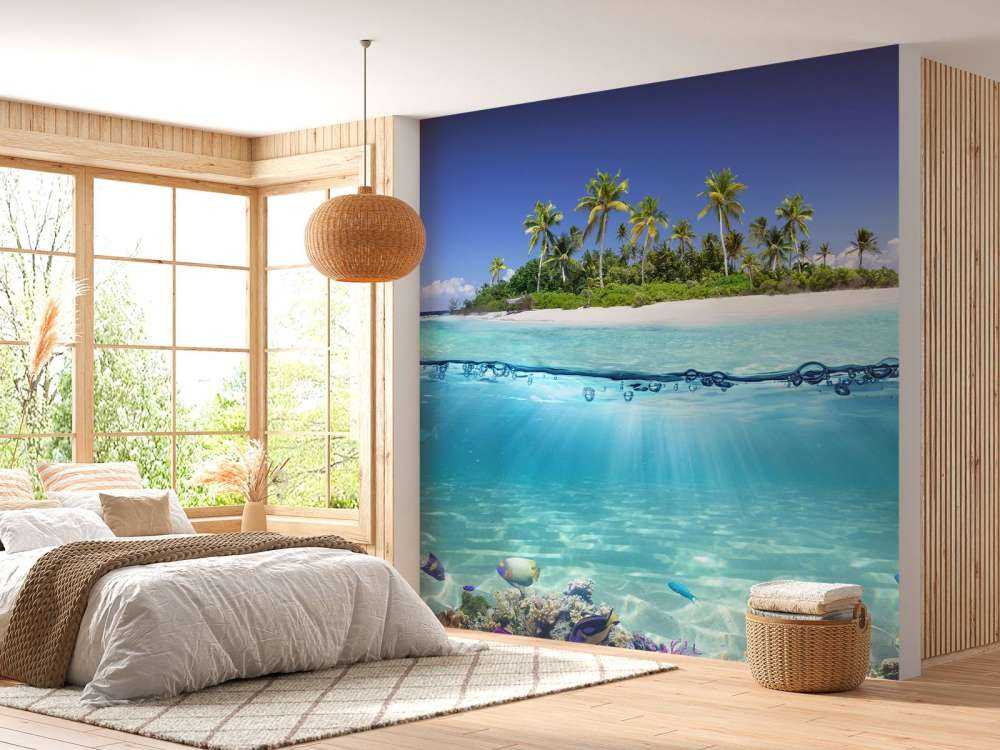 Île tropicale et récif corallien