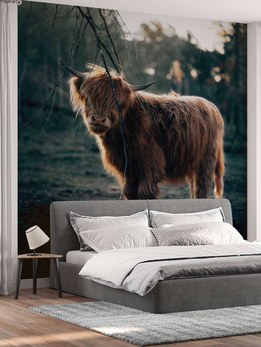 Highlander écossais à l'orée des bois