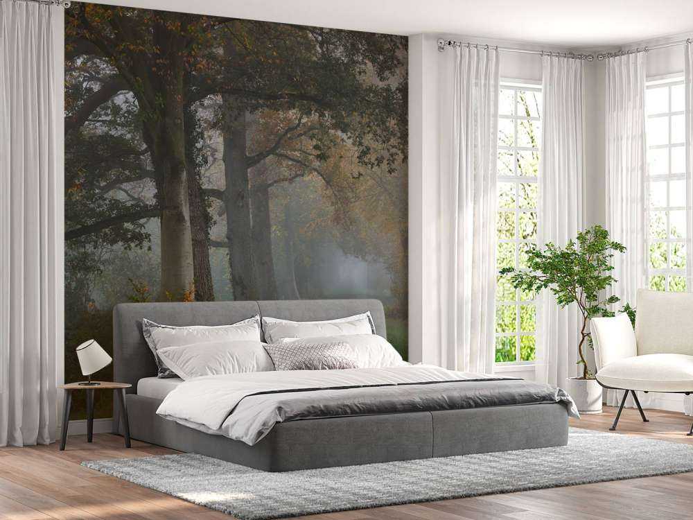 Allée avec des arbres dans le brouillard